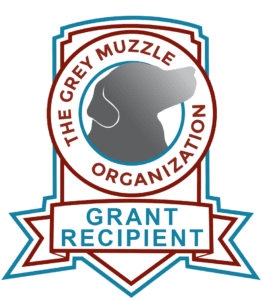 Grey Muzzle Foundation